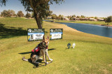 Service dog “Kaelee” 2010(C) James Falsken