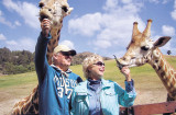 Vic and Joanna Herman had a “Staycation” Roar and Snore at the San Diego Wildlife Animal Zoo!