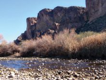 The Salt River area, a favorite of the Metal Lokators Club.