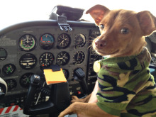 “Dog is my Co-pilot” will be featured in a presentation at the Sun Lakes Aero Club’s (SLAC) gathering December 15 at the Sun Lakes Country Club. The public is invited to attend.