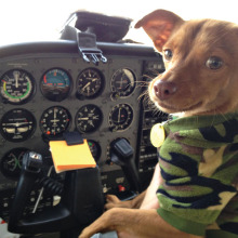 “Dog is my Co-pilot” will be featured in a presentation at the Sun Lakes Aero Club’s (SLAC) gathering December 15 at the Sun Lakes Country Club. The public is invited to attend.