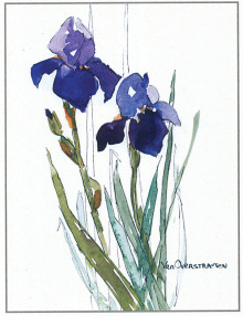 A beautiful watercolor by Alice Van Overstraeten