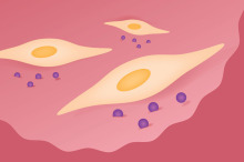 Stem cells migrate to sites of tissue injury within the body and facilitate tissue repair.