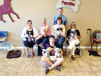 Pictured - row one are Brenda Bauer with Maggie and Molly; row two are Jeni Connor with Minnie, Melissa Skocypec with Lexi, Karen O’Reilly with Piper and Tanis May with Abby; row three is Michael O’Reilly