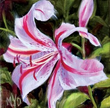 Pink Lily by Mary Van Deman