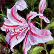 Pink Lily by Mary Van Deman