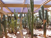 Cactus Pavilion at Wallace Gardens, Scottsdale