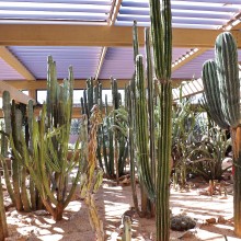 Cactus Pavilion at Wallace Gardens, Scottsdale