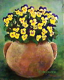 Pansies in a Pot by Susan Plouzek