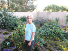 Nancy Mumpton in her xeriscape garden