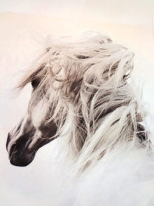 One example of Judy’s work.