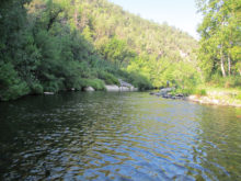 This picture was taken at the Black River Crossing on the Black River which is located a couple of miles above the confluence of the Salt and Black Rivers. Fishing at this location also yielded us a few dozen Smallmouth Bass and Red Ear Perch.