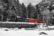 Train by Linda Davis