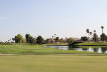 Ironwood looks great!