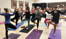 Join us for Vinyasa yoga!