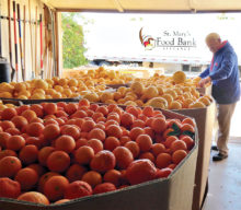 The Sun Lakes Citrus Sharers store donated fruit.