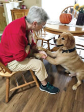 Sharon Flores and her foster dog Carter after his haircut