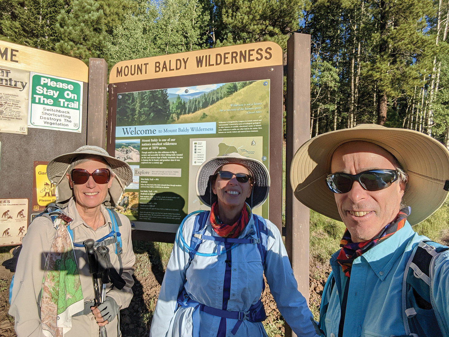 Sun Lakes hikers DeEtte Faith, Diane Alessi, and Henry Silverblatt on a recent hike at Mount Baldy Wilderness in Eastern Arizona (Photo by Henry Silverblatt)