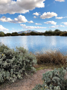 Veterans Oasis Park just before sunset